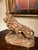 Italian Artist, Large Lion, 19th Century, Wood For Sale - Image 14 of 17