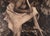 1970s "Spearing Salmon: Spokan", Sepia Photograph of Indigenous Spearfishing by Edward Sheriff Curtis For Sale - Image 5 of 10