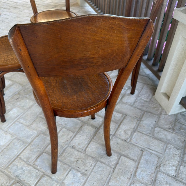 Wood Set of 4 Antique Mundus/Attributed to Thonet Bentwood Bistro Chairs With Crocodile Pattern For Sale - Image 7 of 12