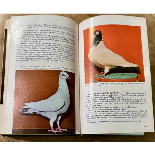 Mid-Century Modern Wendell M. Levi Encyclopedia of Pigeon Breeds Hardcover Illustrated 1965 For Sale - Image 3 of 8