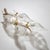 Wall lamp in the shape of a stylized branch, crafted in brass and adorned with four large clear-glass leaves featuring...
