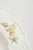 Deep Porcelain Plate with Floral Motif from Royal Copenhagen, Early 20th Century For Sale - Image 4 of 6