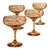 2020s Amber Smoked Etched Champagne Coupe Glasses - Set of 4 For Sale - Image 5 of 7
