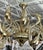 Lu Murano Glass Chandelier by Fornasier For Sale In Naples, FL - Image 6 of 9
