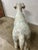 Life-Size Celebrity Collage Labrador Dog Sculpture, Sun Valley, C. 2001 For Sale - Image 14 of 14