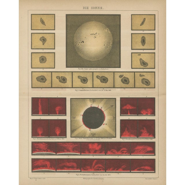 Antique Solar Study Chart, 1890s For Sale - Image 3 of 9