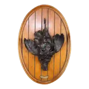 Antique French Black Forest Bronze Trophy Plaque