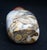 Vintage Jasper Pudding Stone Snuff Bottle For Sale In Chicago - Image 6 of 9