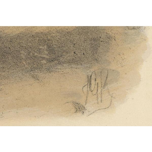 Dresser, The Common Skua, Hand-Colored Print For Sale - Image 3 of 6