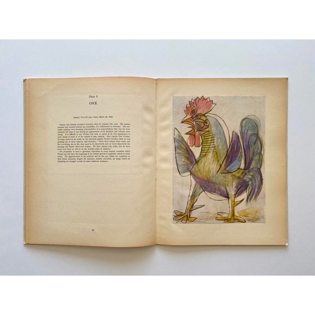 Pablo Picasso Vintage 1954 First Edition Mid Century Modernist Lithograph Print Hardcover Art Book For Sale - Image 11 of 13