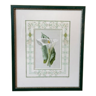 Original Botanical Custom Framed with Hand-painted Matte ft. Calla Lily For Sale