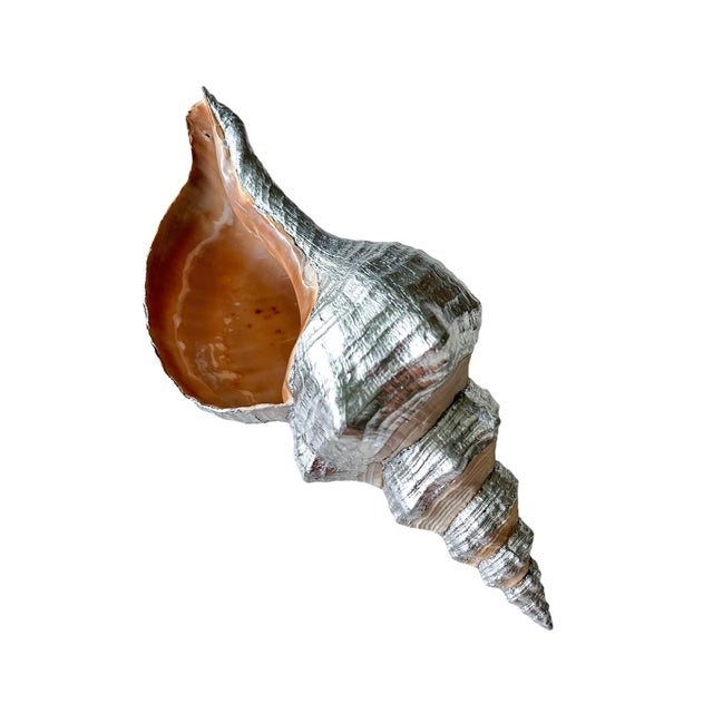Contemporary Oversized 14” Silver Leaf Horse Conch Shell Sculpture – Natural Coastal Object, Hand-Finished Organic Luxe Decor For Sale - Image 3 of 7