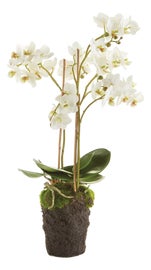 Example of Minimalism Faux Floral Arrangements
