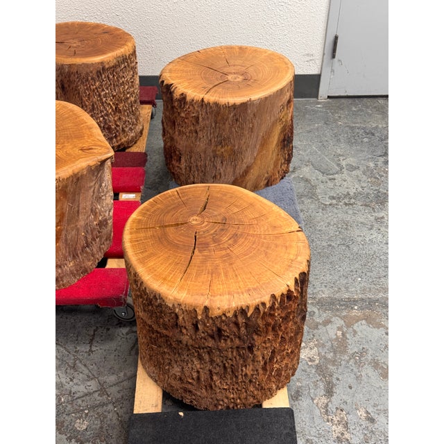 Organic Modern Live Edge Tree Side Table/ Stools, Set of Four For Sale - Image 11 of 12