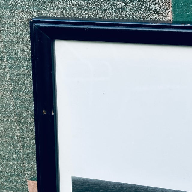 Edward Weston: One Hundred Photographs "Dunes" 1983 Gallery Poster Framed For Sale In Philadelphia - Image 6 of 11