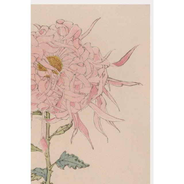 Japanese Pink Floral Giclee, Vintage Japanese Botanical Art Print, 8" X 12" For Sale - Image 3 of 8