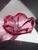 Brutalist Large Cranberry Glass Bowl by Josef Hospodka for Chribska, Czechoslovakia, 1960s For Sale - Image 3 of 6