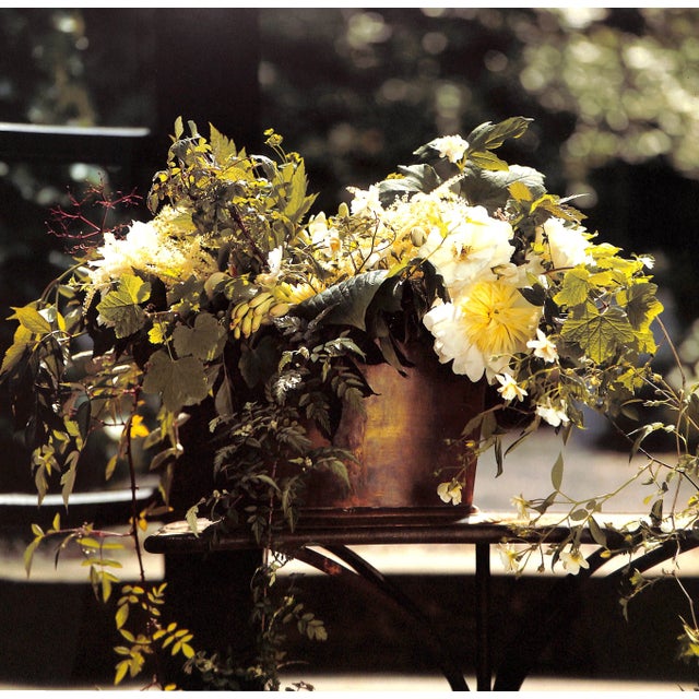 "Wolterinck" 1997 Roelofs, Cees [Photography] For Sale - Image 11 of 12