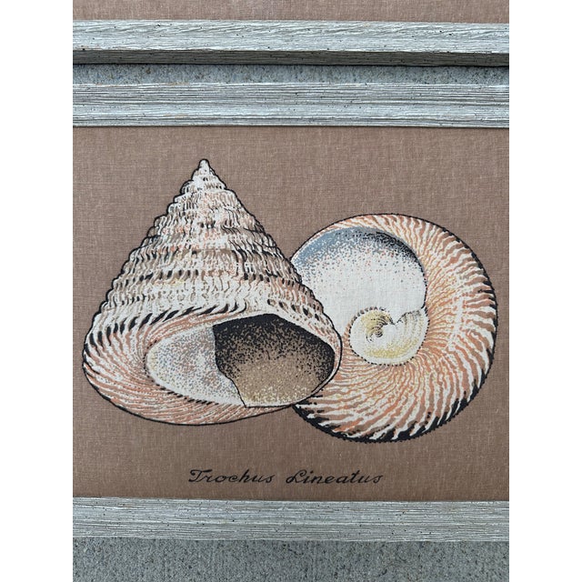 Textile Art With Shell Designs, a Set of Two, Framed For Sale In Charleston - Image 6 of 6