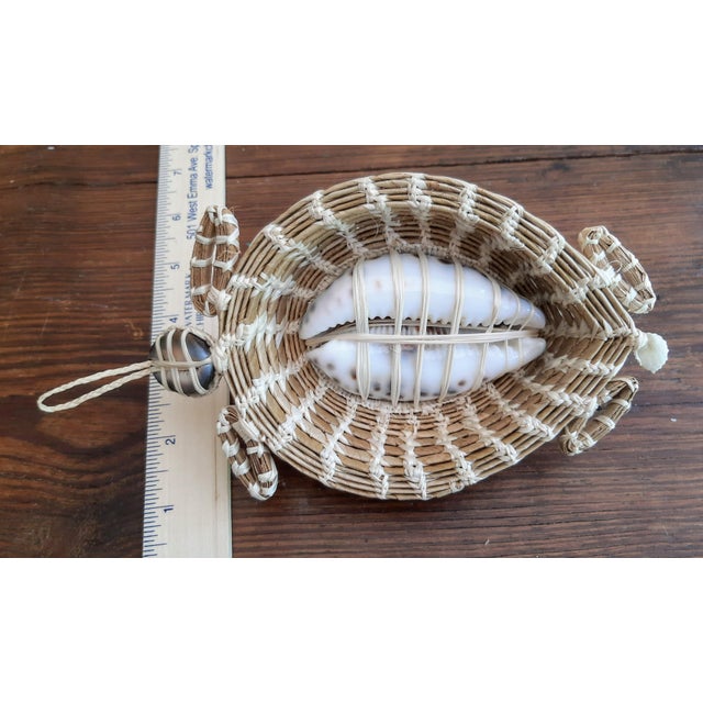 Nautical Turtle Cowrie Seashell Figurine Wall Art For Sale - Image 3 of 8
