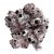 Natural Barnacles Cluster For Sale