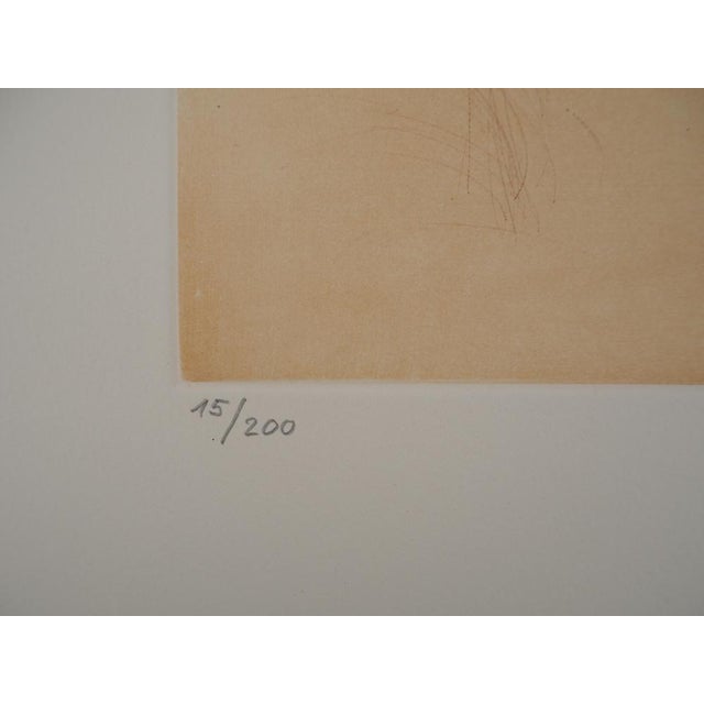 Salvador Dali, Don Quixote and Sancho Panza, Original Etching For Sale - Image 11 of 12