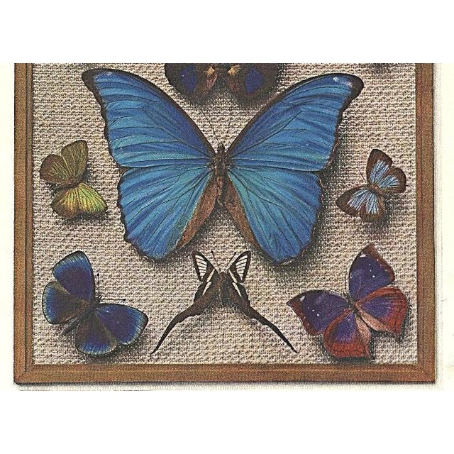 1930s 1934 Set of 2 Vintage French Butterfly Prints, Matted For Sale - Image 5 of 7