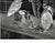 1980s Vintage Surrealism -- Alienation Ave X Special at the Five & Dime by Herbert Holden For Sale - Image 5 of 5