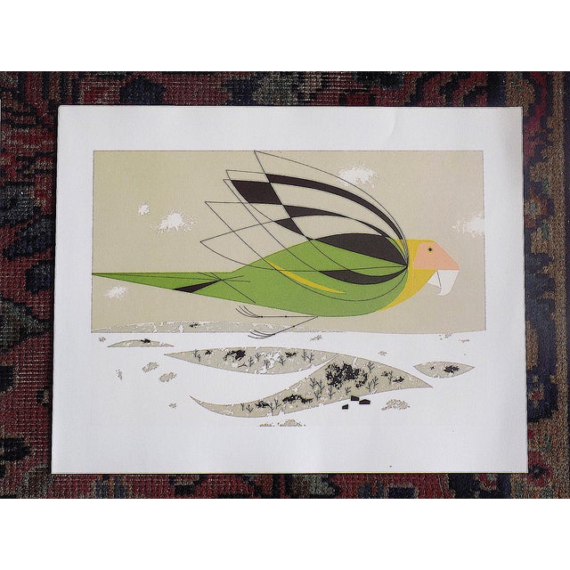 2010s Vintage Charley Harper Modernist Abstracted Bird Lithographs (10.75" X 8.25") - Set of 9 For Sale - Image 5 of 11