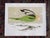 2010s Vintage Charley Harper Modernist Abstracted Bird Lithographs (10.75" X 8.25") - Set of 9 For Sale - Image 5 of 11