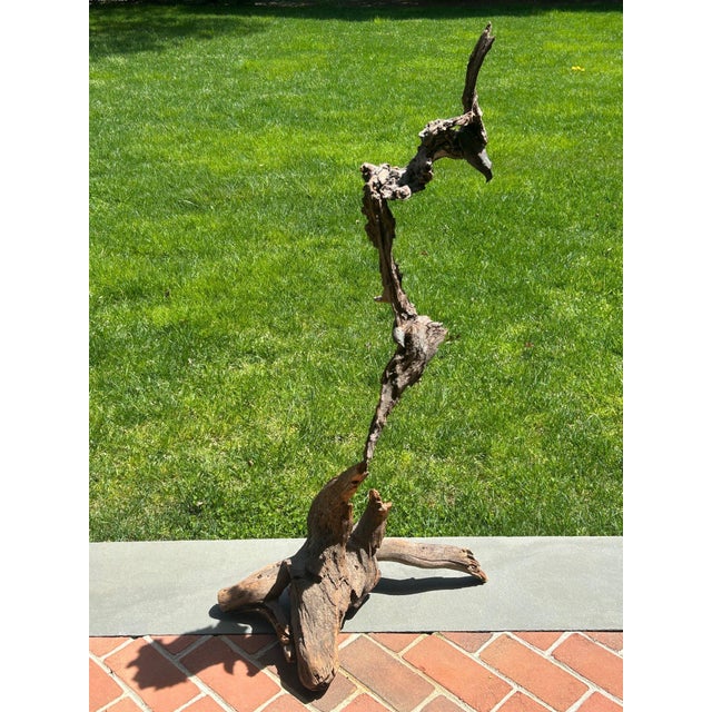 Late 20th Century Signed Lubomir Tomaszewski Monumental Wood and Copper Bird Sculpture, 45 Inches For Sale - Image 14 of 15