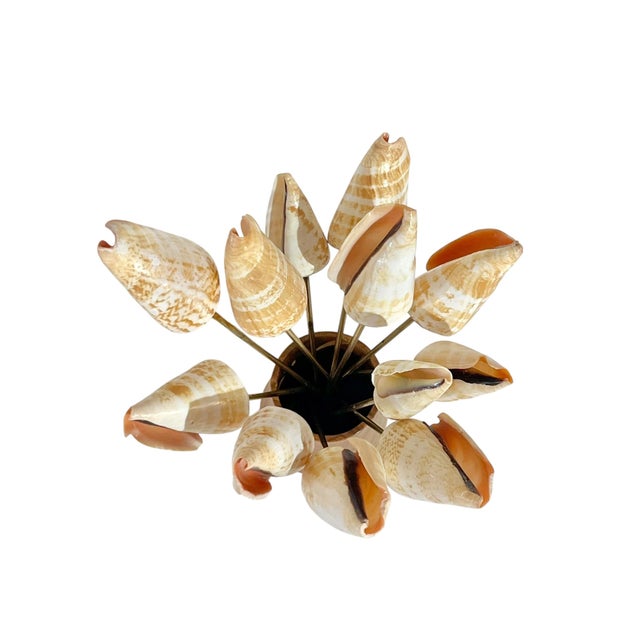 Vintage Conch Shell Seashell Olive Charcuterie Picks With Wood Stand- 13 Pieces For Sale - Image 13 of 16