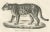 Jaguar, 1836, Lithograph For Sale - Image 4 of 10
