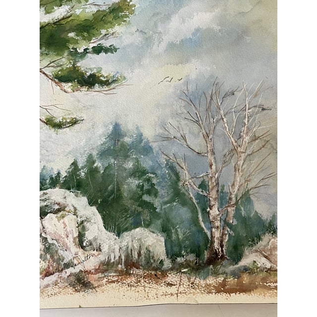 Beautiful watercolor Forest landscape with rocks on white woven paper.