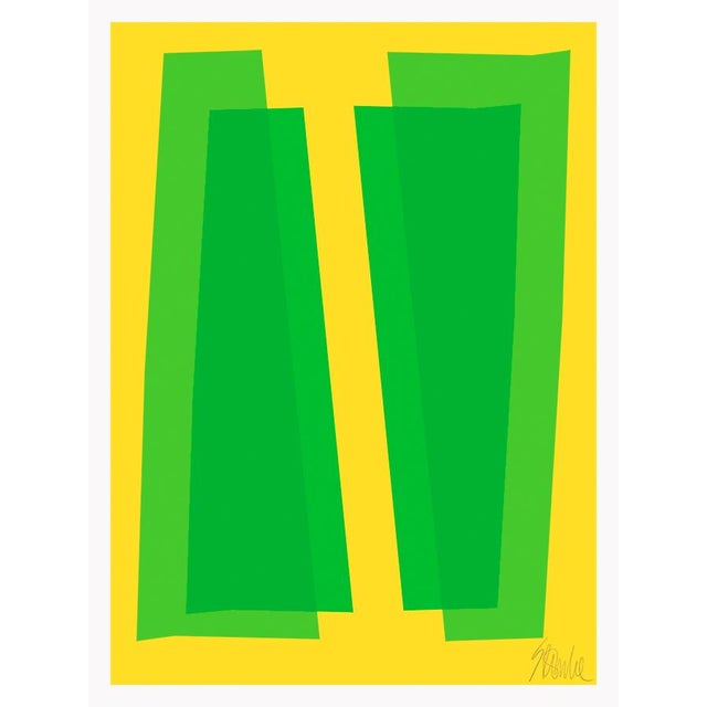Green and Yellow Transparencies Fine Art Print 21.25" X 30" by Liz Roache For Sale In Boston - Image 6 of 6
