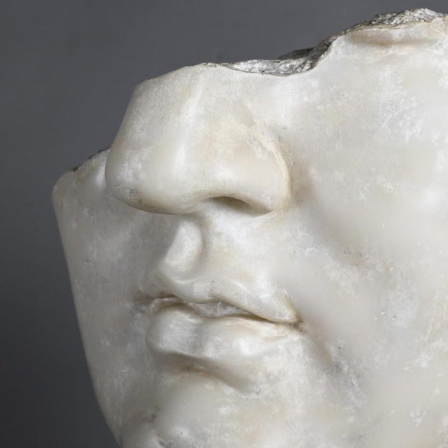 Unknown, Hellenistic Sculpture of a Head of Apollo, Plater and Resin For Sale - Image 3 of 7