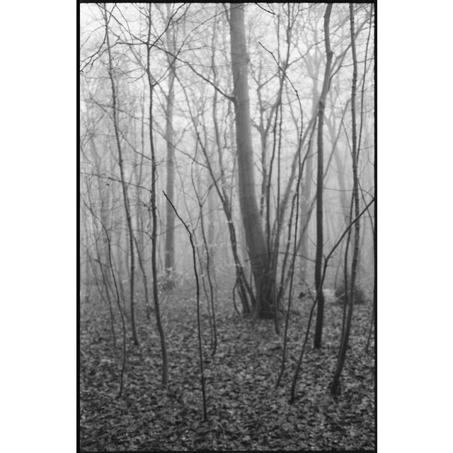 Not Yet Made - Made To Order Paul Cooklin, Scan 20211222 82, Edition of 50 For Sale - Image 5 of 5