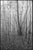 Not Yet Made - Made To Order Paul Cooklin, Scan 20211222 82, Edition of 50 For Sale - Image 5 of 5