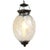 Elegant vintage pendant light from India featuring a gracefully rounded clear glass globe beautifully etched with delicate...