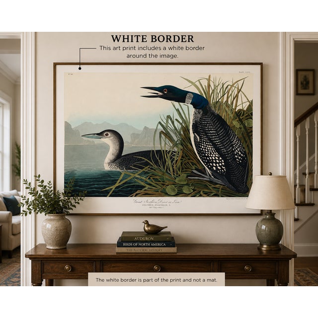 Vintage ornithological artwork reproduced from Birds of America (1827) by John James Audubon and refined for modern...