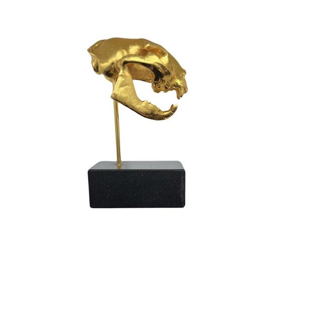 A striking and unusual cat skull sculpture, hand-cast in aluminium with a polished golden finish and presented upon a...