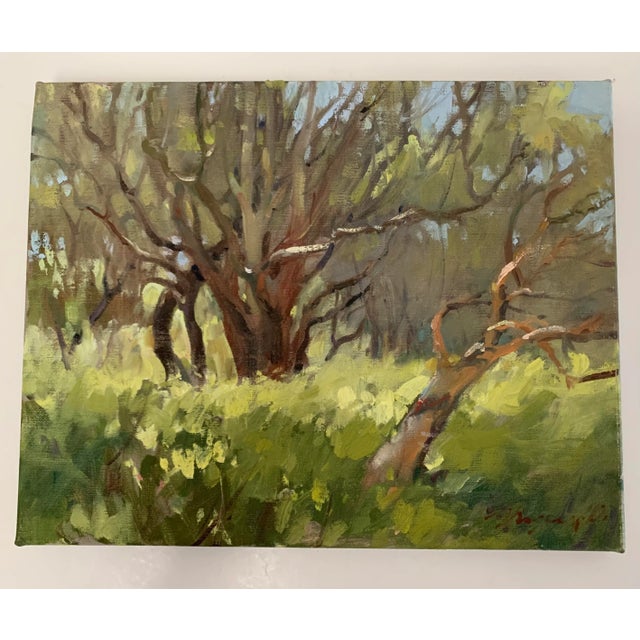 2000 - 2009 20th Century Plein Air Oil Landscape by Mary O Smith For Sale - Image 5 of 13