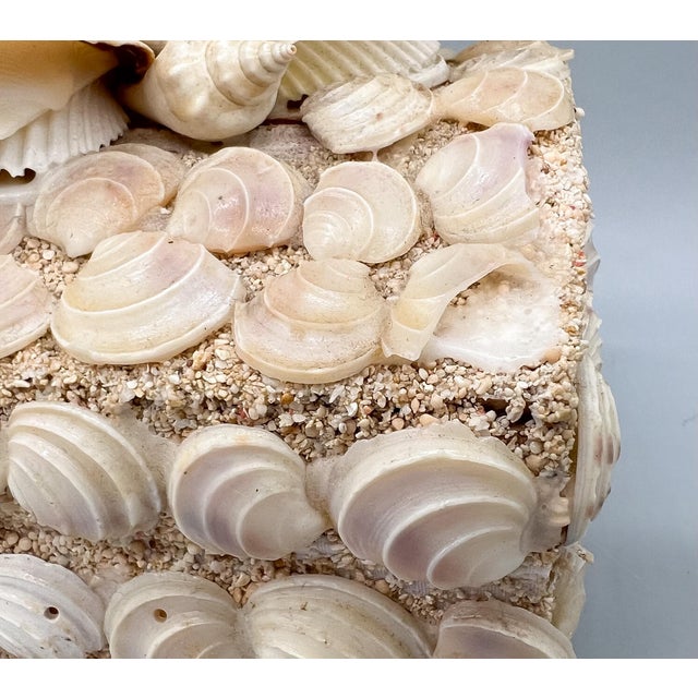 Vintage Handmade Seashell Encrusted Lidded Box – Coastal / Organic Modern For Sale - Image 13 of 14
