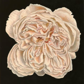 Whispers of White by Robin Hextrum | Oil on Panel White Flower Still Life For Sale
