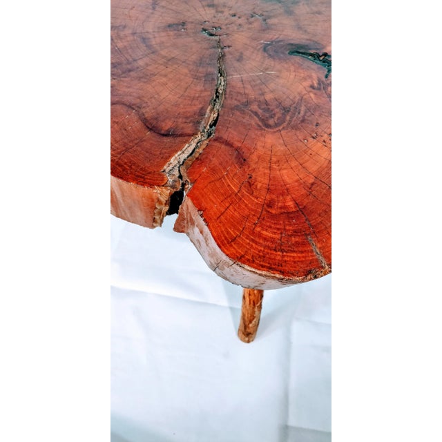 Coffee 1960 Live Edge Cypress Side Table For Sale - Image 8 of 12