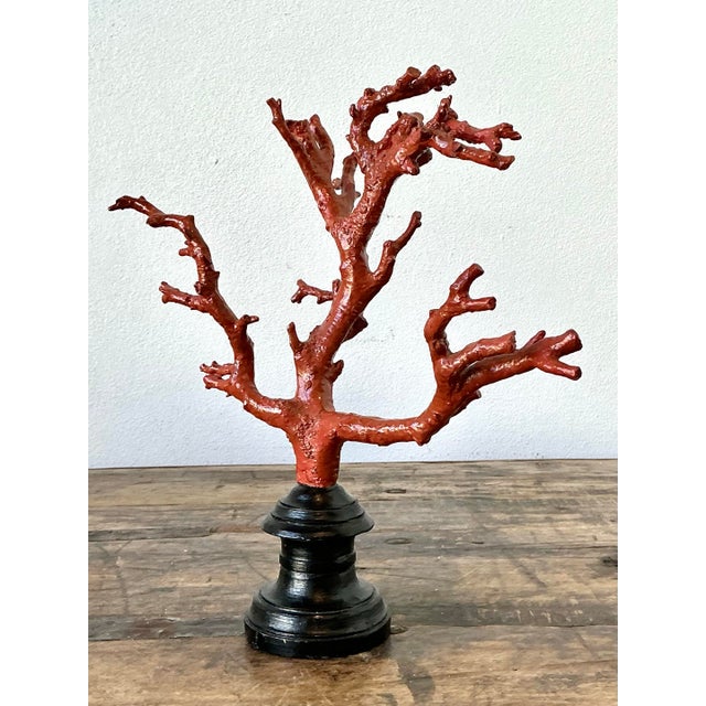 Vintage Faux Coral Branch For Sale - Image 11 of 12