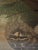 Shabby Chic Pat Hedlundy Nature Oil Painting, For Sale - Image 3 of 5