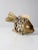 Mid-Century Brass Fish Figurine For Sale - Image 4 of 10