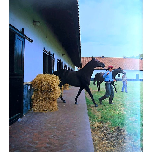 1992 1st Edition, "Estancias Argentinas", by Maria Saenz Quesada; Xavier Verstraeten (Spanish Edition) For Sale - Image 11 of 18