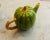 Vintage Trompe De L’ Oeil Ceramic Watermelon Shaped Tea Pot For Sale In Miami - Image 6 of 13